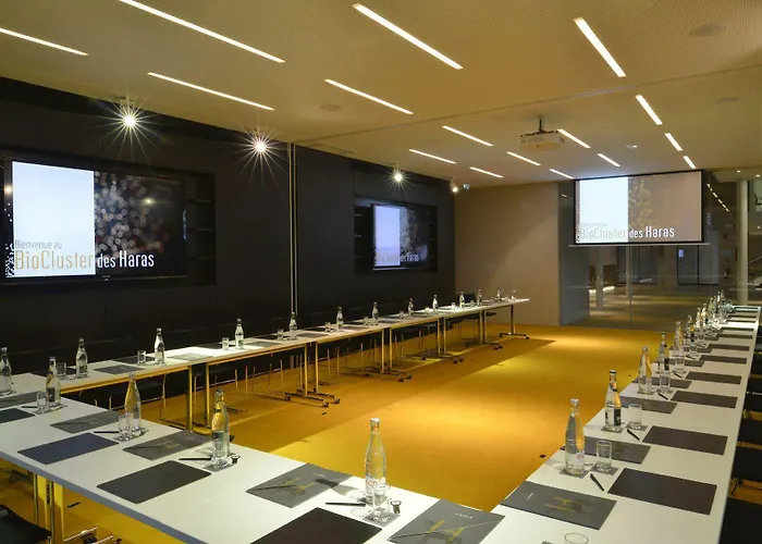 Hotel Les Haras By Collection 4*